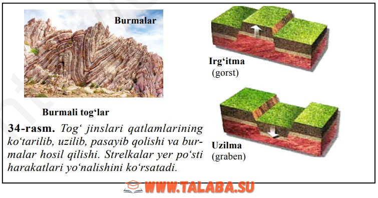 34-rasm. Tog‘ jinslari qatlamlari ning ko‘ta rilib, uzilib, pasayib qolishi va burmalar hosil qilishi. Strelkalar yer po‘sti harakatlari yo‘nalishini ko‘rsatadi
