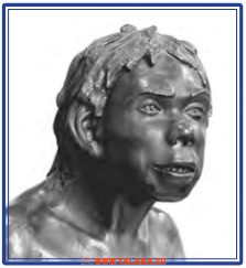 Neandertal bola (Teshiktosh)